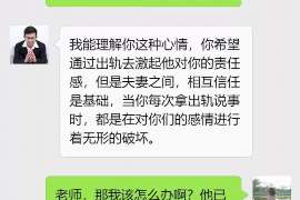 察隅私人调查